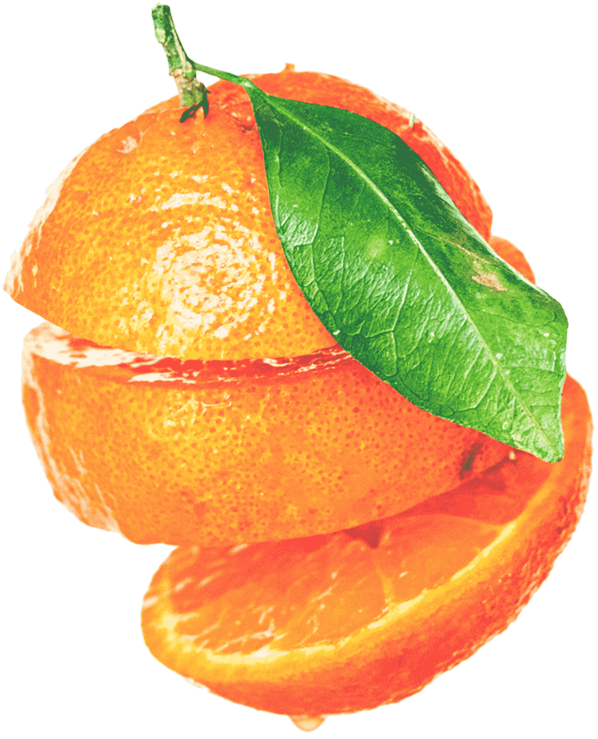 dietitian 32 Salud sostenible