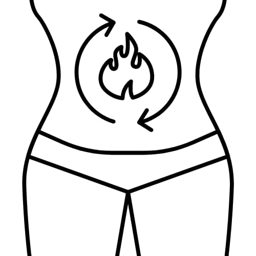 Acelera tu metabolismo Salud sostenible