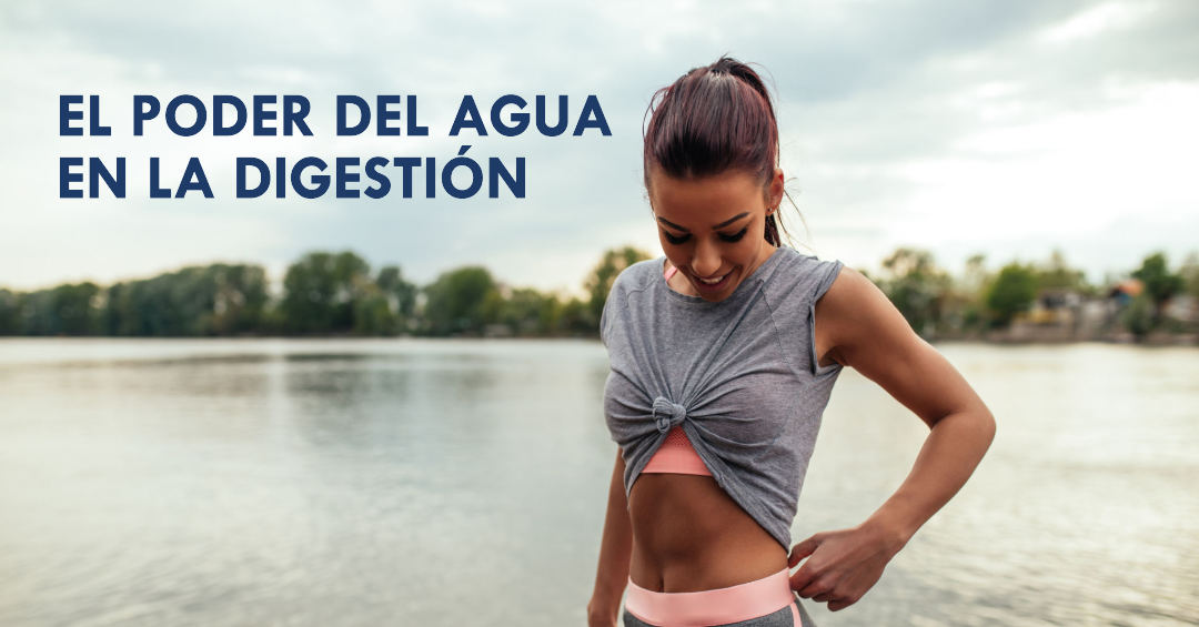 El Poder del Agua en la Digestion Salud sostenible