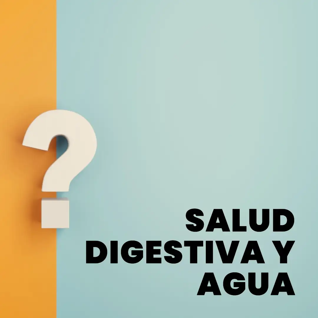El Agua y su Impacto en la Digestión y el Metabolismo 3 Salud sostenible Salud digestiva Salud sostenible