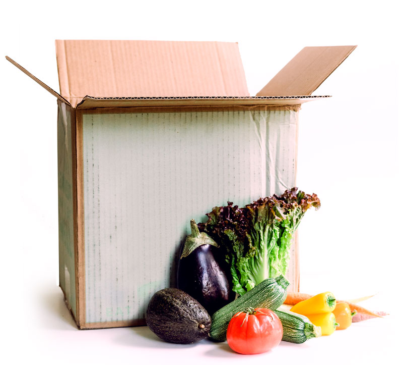 Desayunos saludables para bajar de peso 21 Salud sostenible produce box 54 Salud sostenible